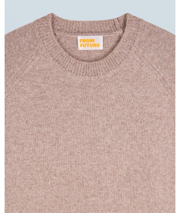 Pull Col Rond Raglan (H24 / HOMME / Taupe Mouliné / 100% Cachemire) Amélioration de cerveau avec