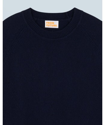 Pull Col Rond Raglan (H24 / HOMME / Navy / 100% Cachemire) Les magasins à Paris