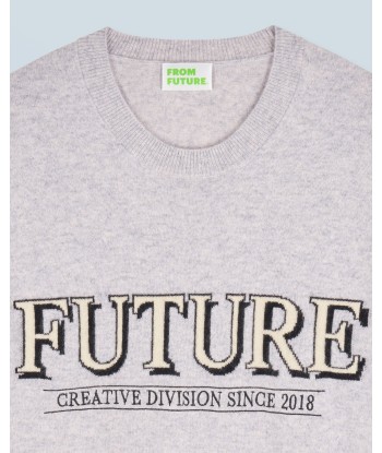 Pull Col Rond Future (H24 / HOMME / Gris Chiné Clair / 100% Cachemire) le des métaux précieux