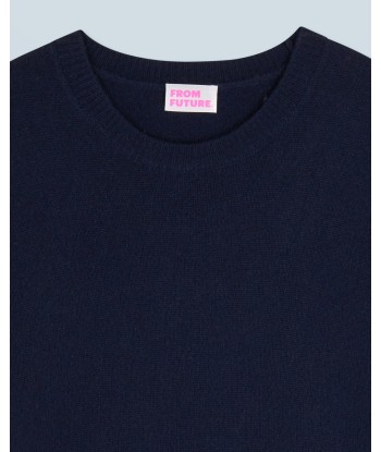 Pull Col Rond  (H24 / HOMME / Navy) la chaussure