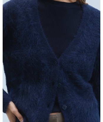 Pull Cardigan Alpaga (H24 / FEMME / Navy) est présent 