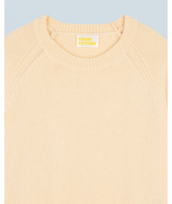 Pull Col Rond Raglan (H24 / FEMME / Frozen Yellow) outlet