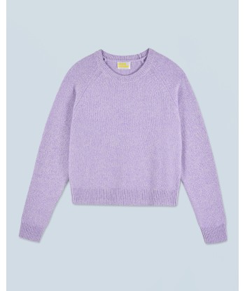 Pull Col Rond Raglan (H24 / FEMME / Lilac Mouline) est présent 