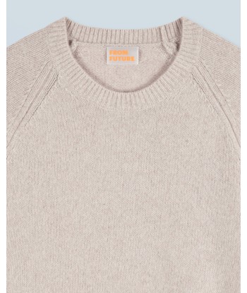 Pull Col Rond Raglan (H24 / FEMME / Beige Mouline) acheter