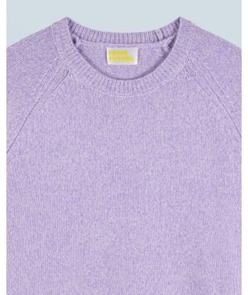 Pull Col Rond Raglan (H24 / FEMME / Lilac Mouline) est présent 