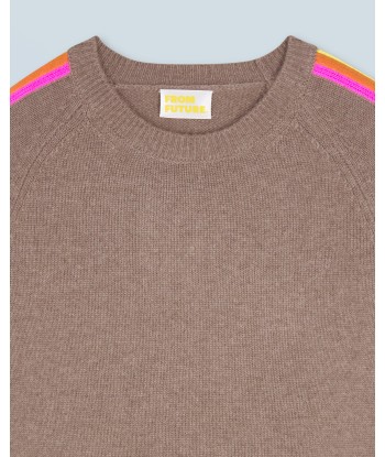 Pull Col Rond Bandes Manches Multicolore (H24 / FEMME / Taupe) Fin de série