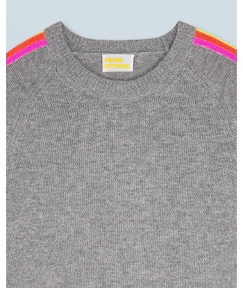 Pull Col Rond Bandes Manches Multicolore (H24 / FEMME / Gris Chiné Foncé) Economisez 