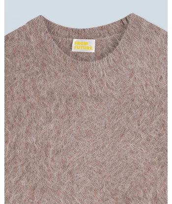 Pull Col Rond Alpaga (H24 / FEMME / Taupe Chine) sur le site 