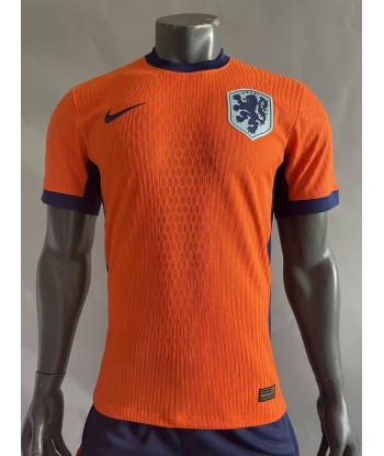 Maillot Pays bas euro 2024 Player Version la colonne vertébrale